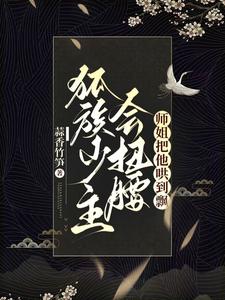 师姐别追了